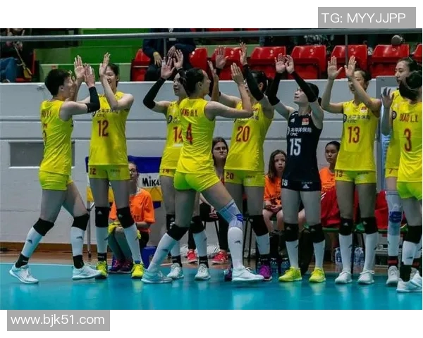 武汉排球队实力强劲荣登全国排球实力排行榜第六名